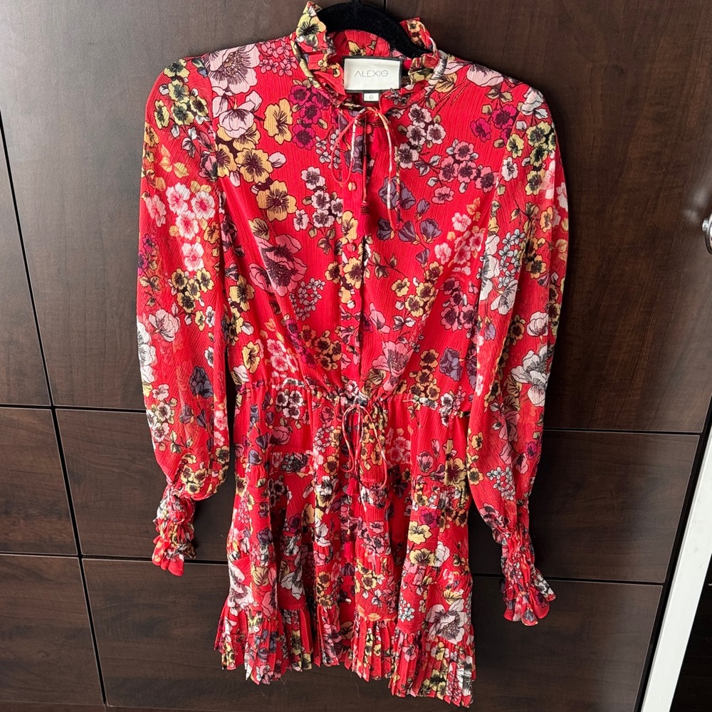 Alexis Red Floral Mini Dress